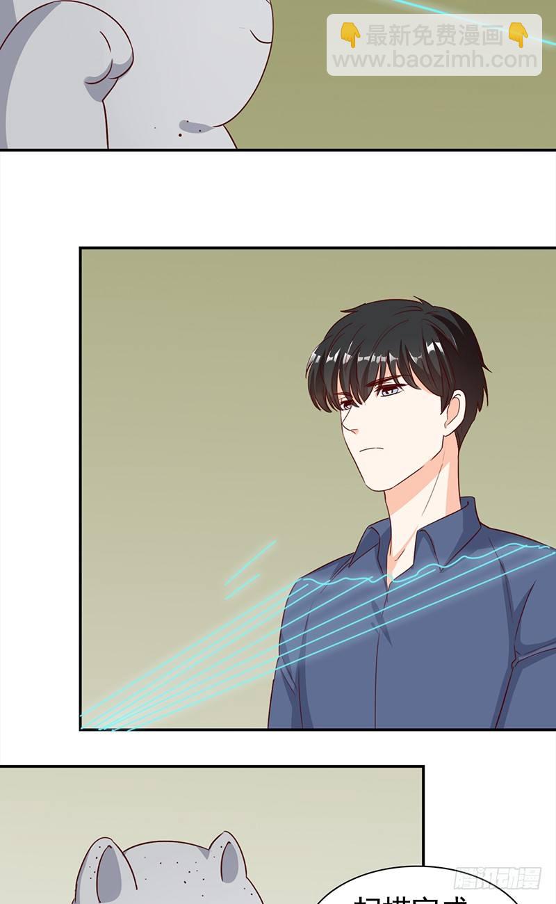 五十话：猫的报恩-第51话