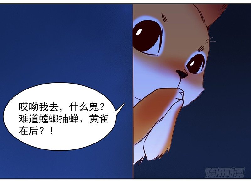 八话：赌注？你玩得起吗？(1/2)-第9话