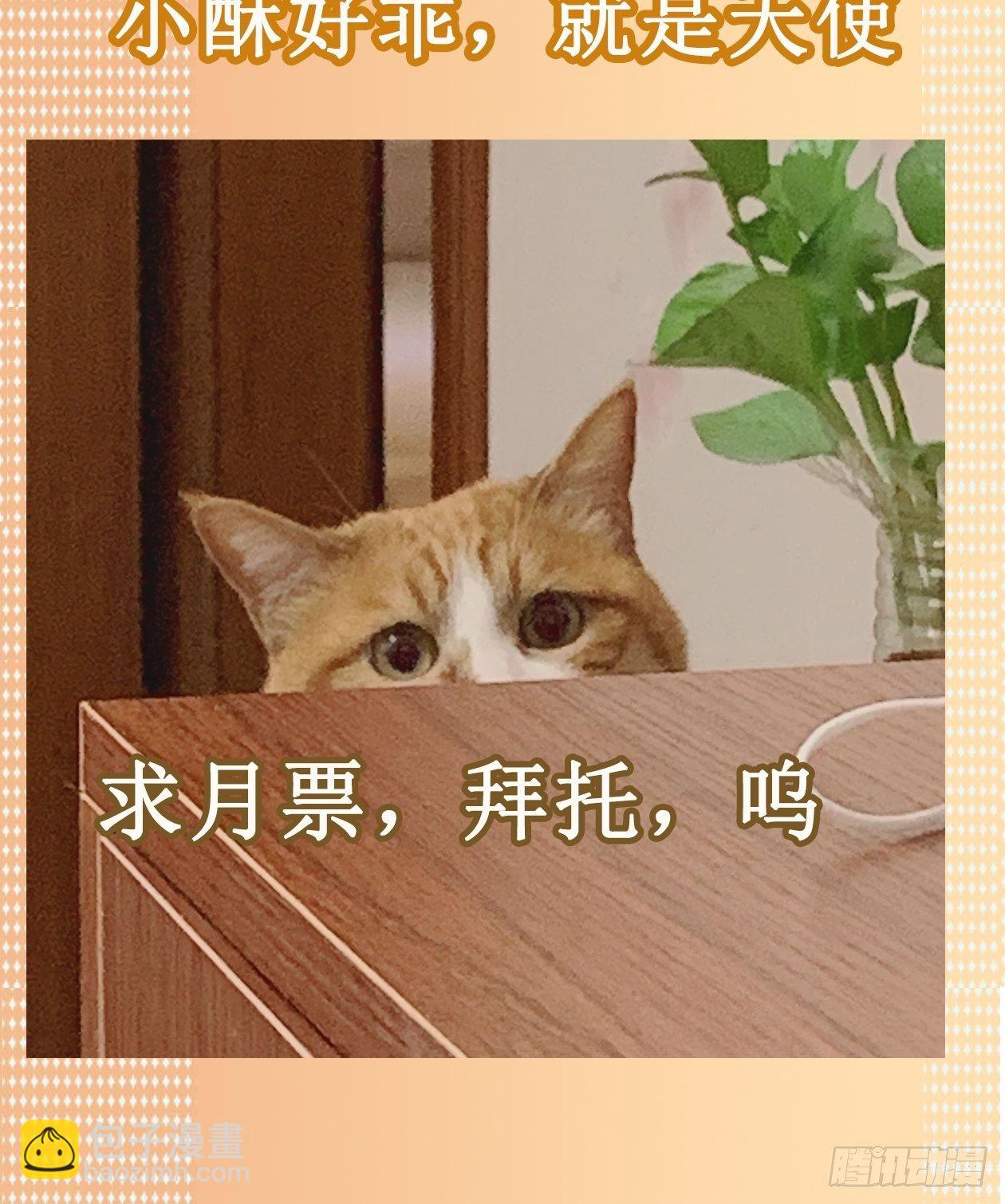 19.超人刘大胆-第23话