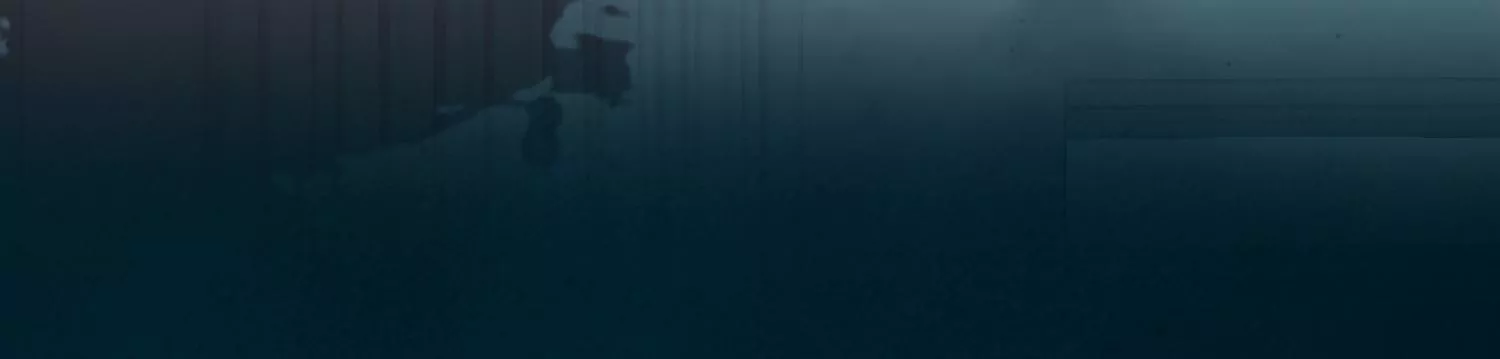 预告(1/2)-第1话