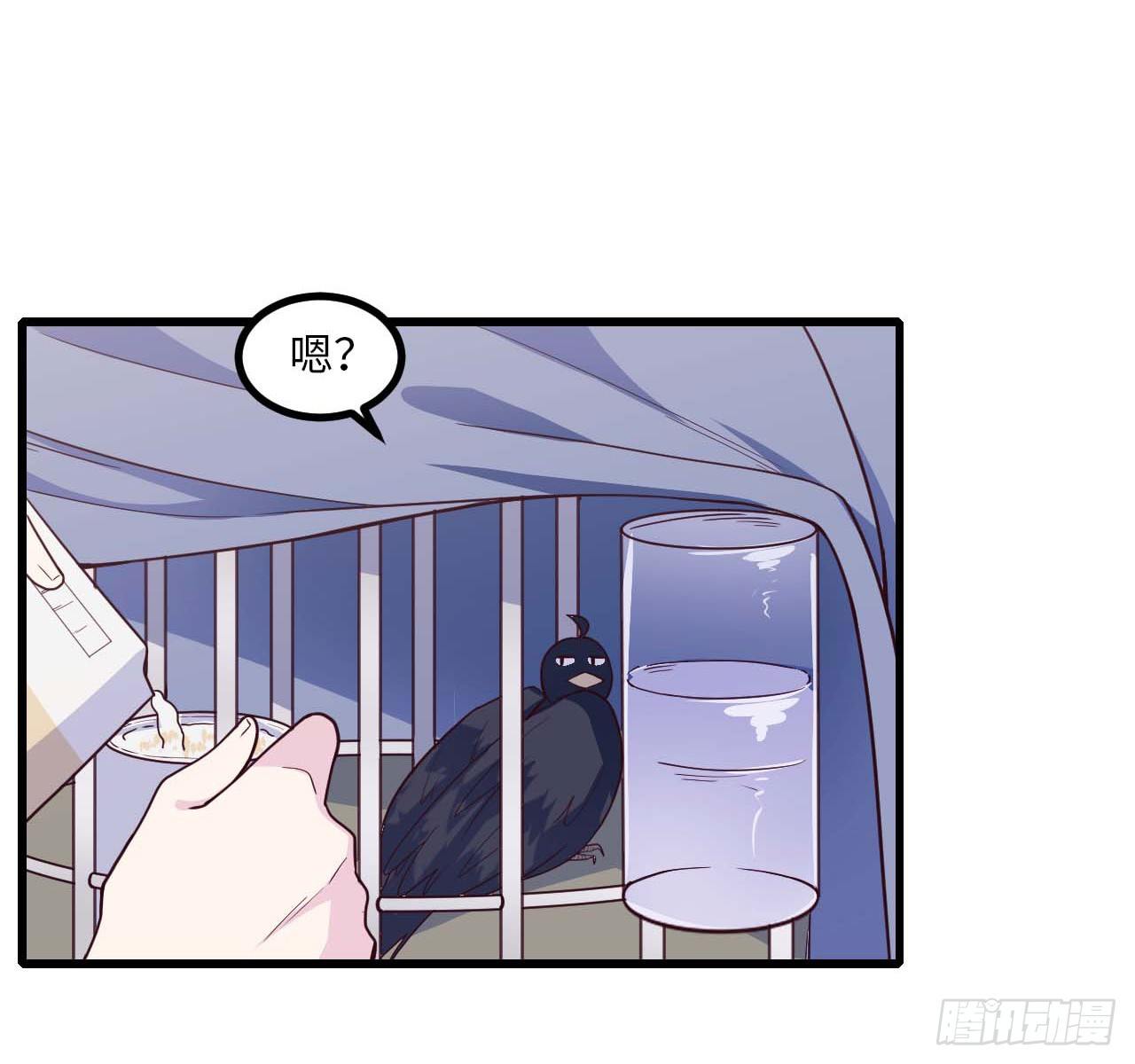 【特别篇】是乌鸫不是乌鸦2-第135话