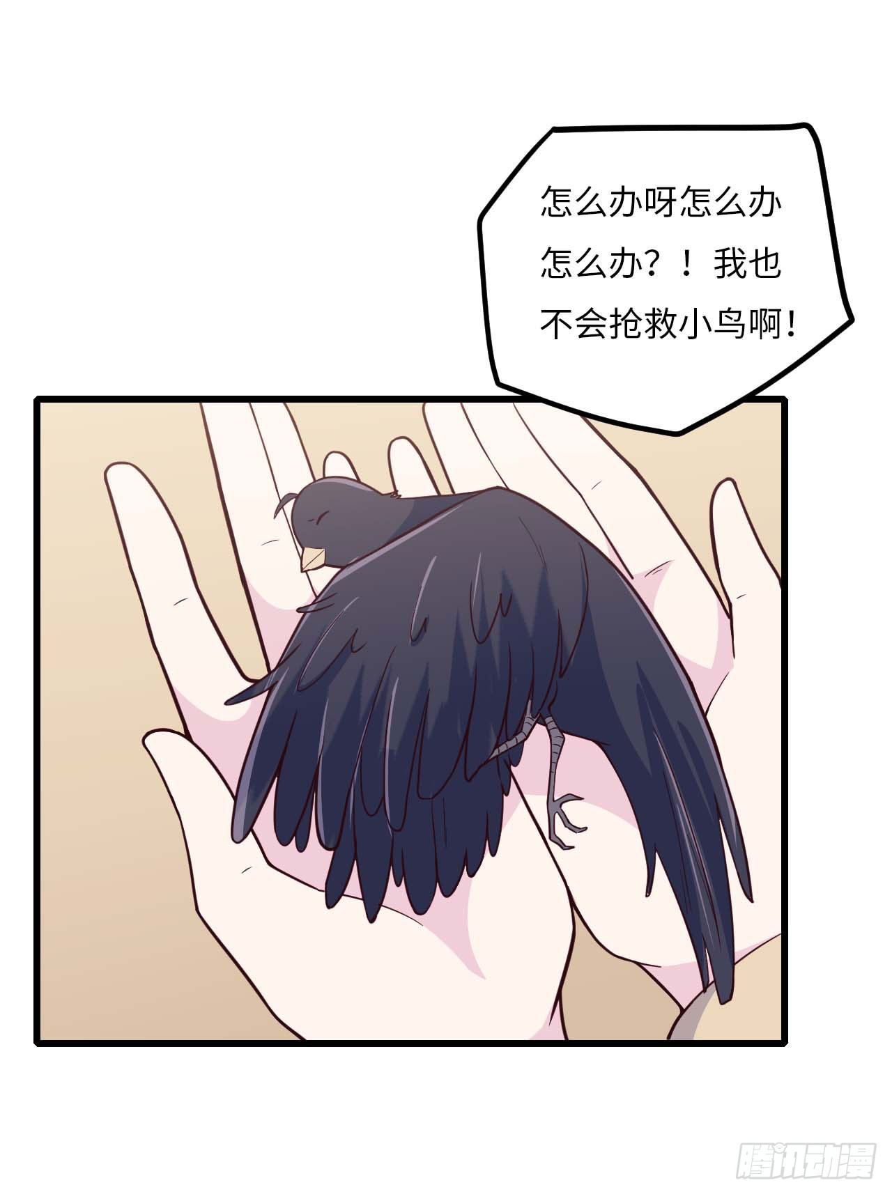 【特别篇】是乌鸫不是乌鸦2-第135话