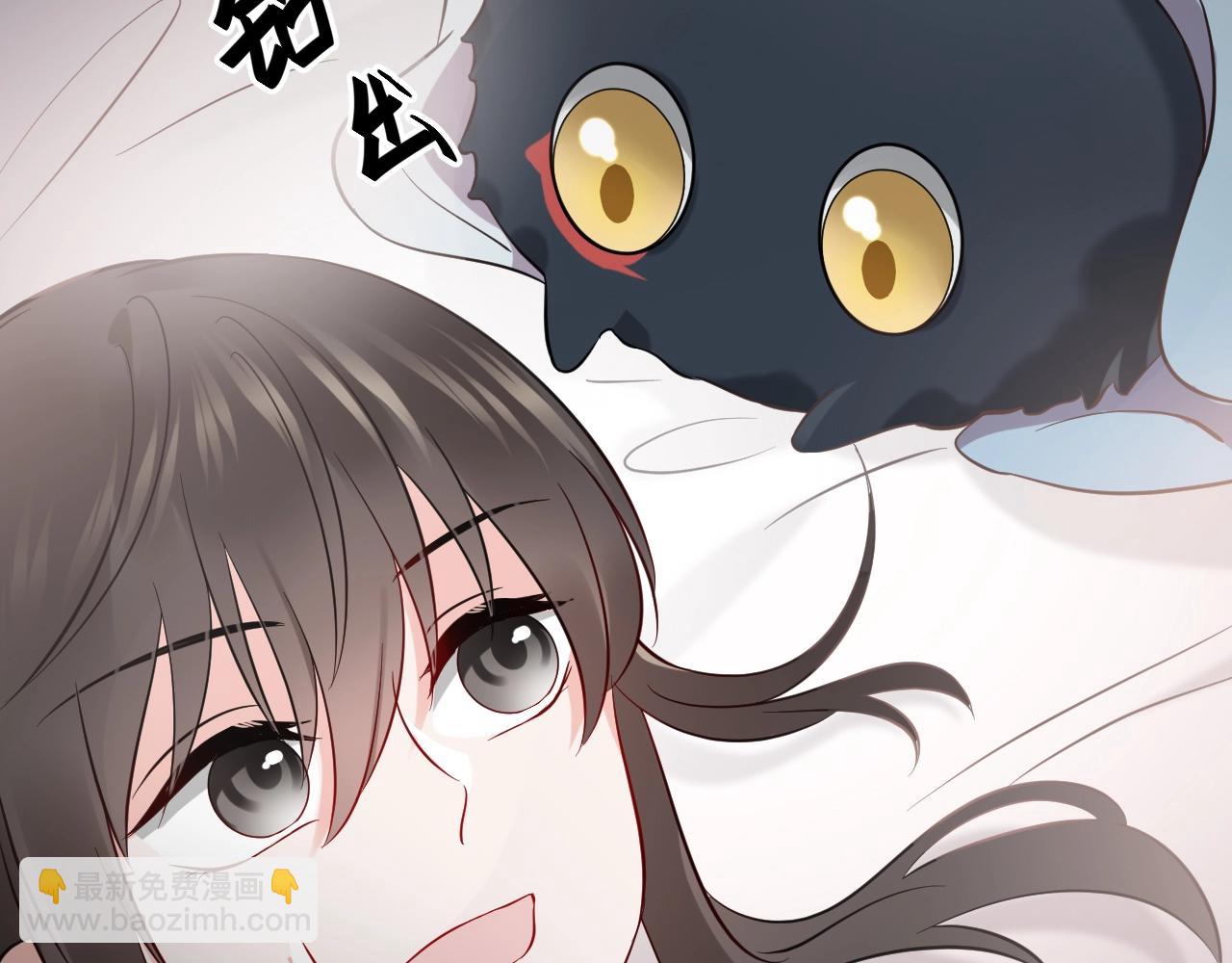 第14话 捡到一只毛球球(1/3)-第15话