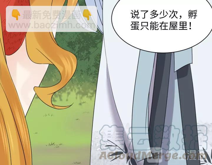 第48话 凤凰的逆天能力(1/3)-第57话