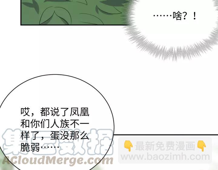 第48话 凤凰的逆天能力(1/3)-第57话