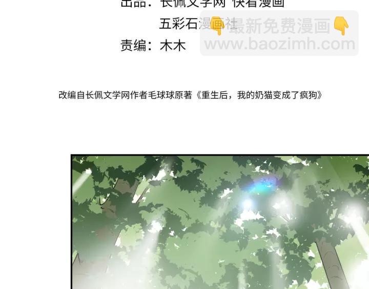 第48话 凤凰的逆天能力(1/3)-第57话
