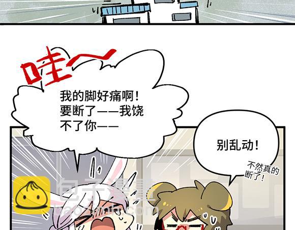 🍜哑舍动物园 第三十三章 第4页