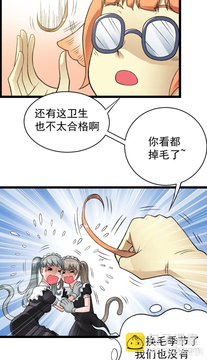 🍜夜叉都市 第34话 猫娘也要按基本法 第13页