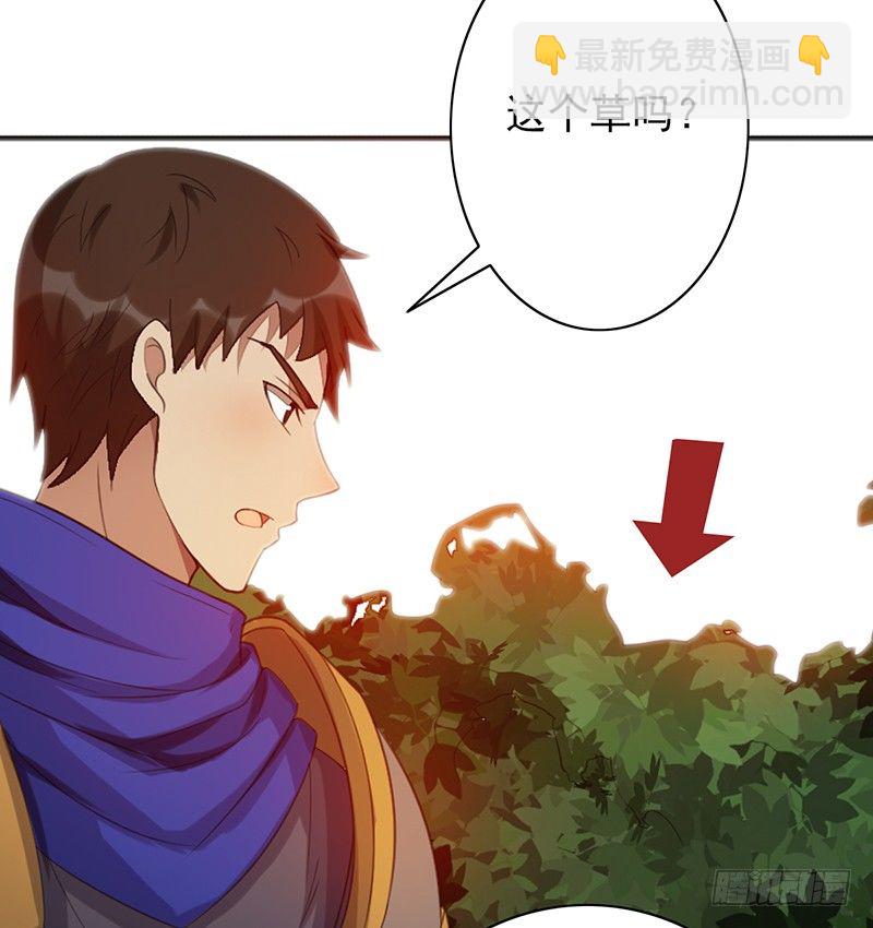 第29话：队友很给力！(1/2)-第29话