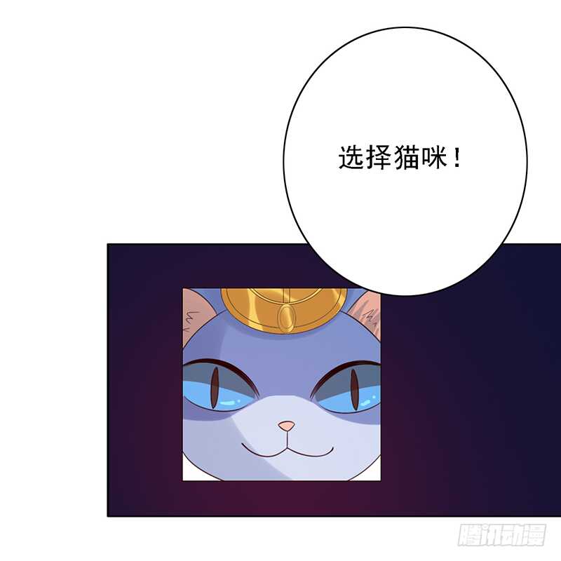 第97话：恐怖的猫咪-第97话