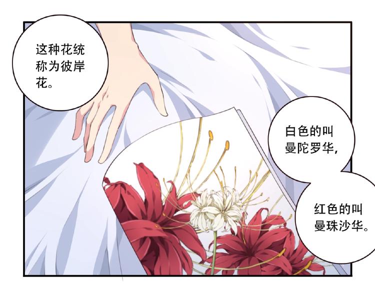 第24话 前世？(1/3)-第27话