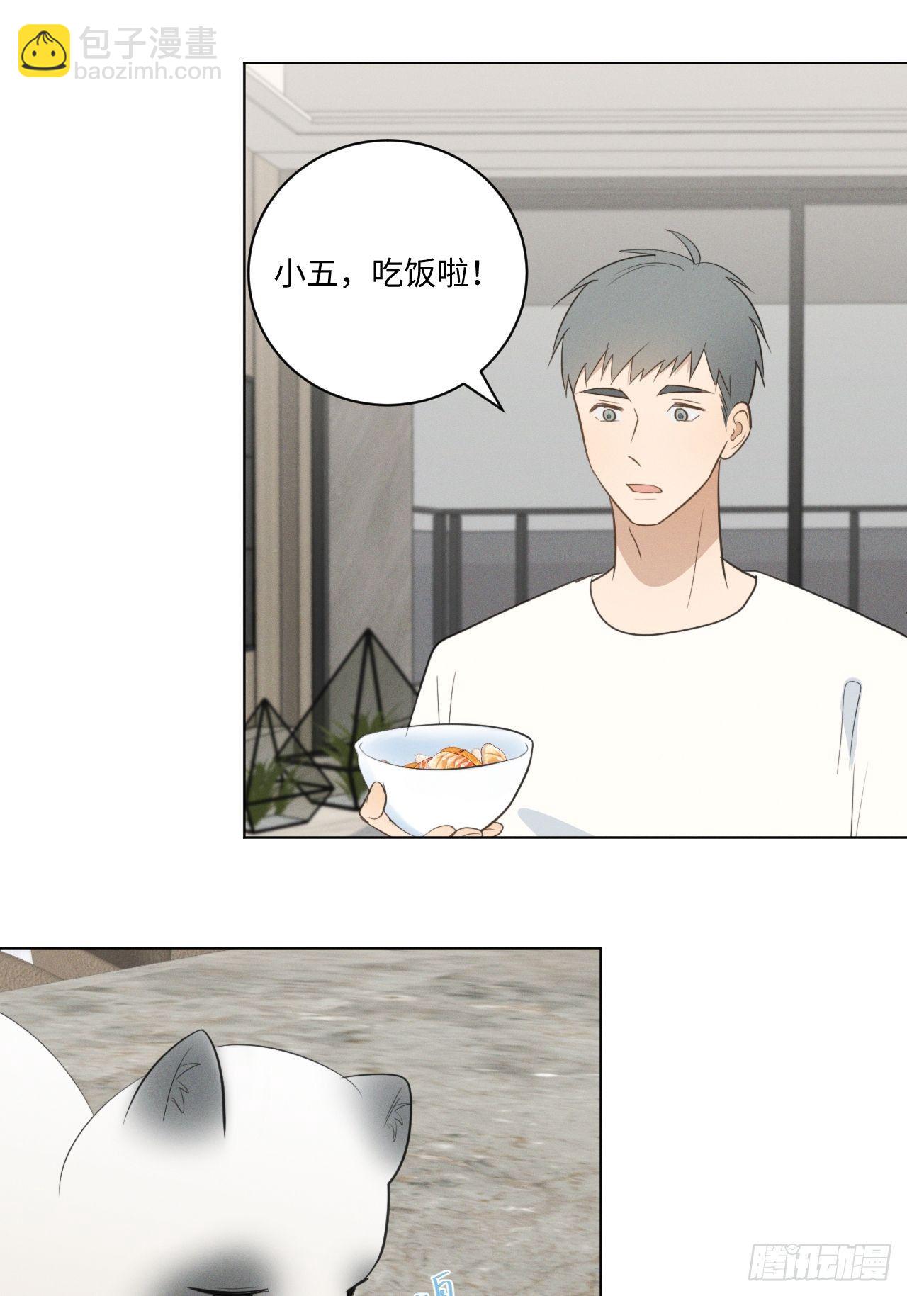 第57话 野猫驯服-第59话