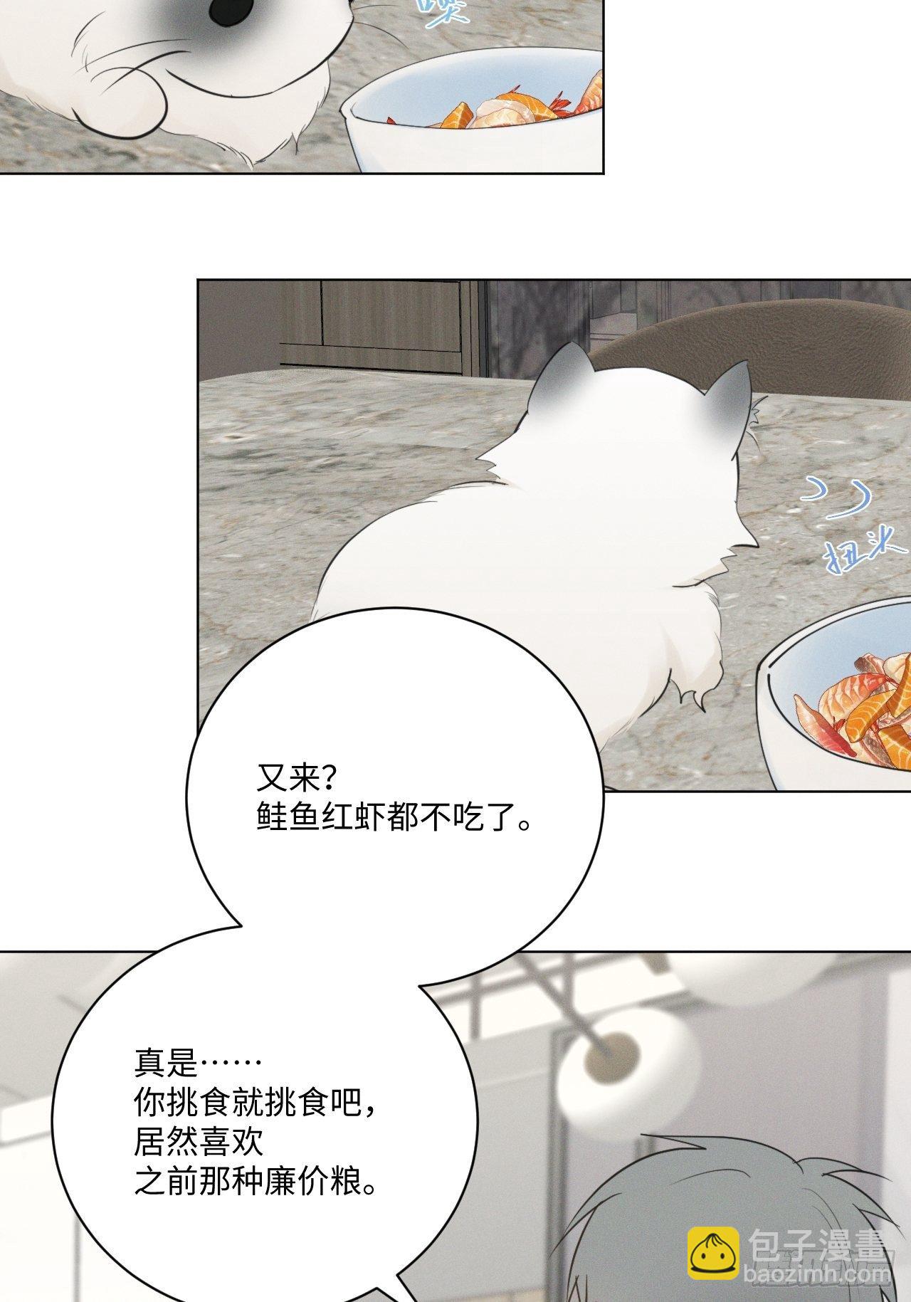 第57话 野猫驯服-第59话