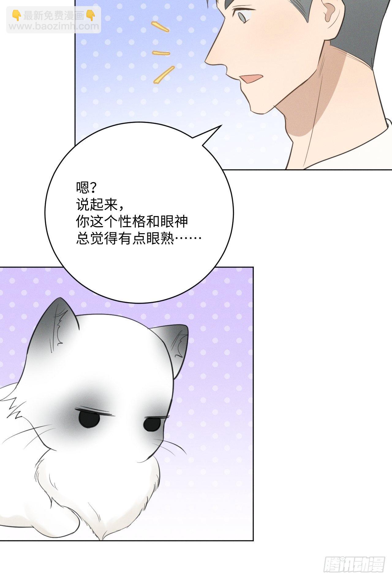 第57话 野猫驯服-第59话