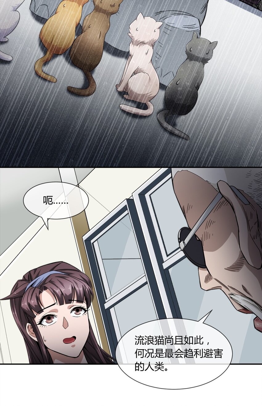 020 流浪的猫咪和找事的猫咪-第21话