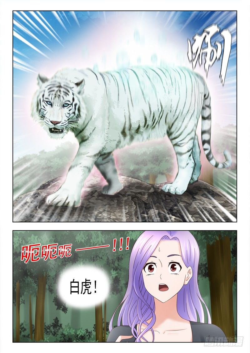 37 白虎-第37话