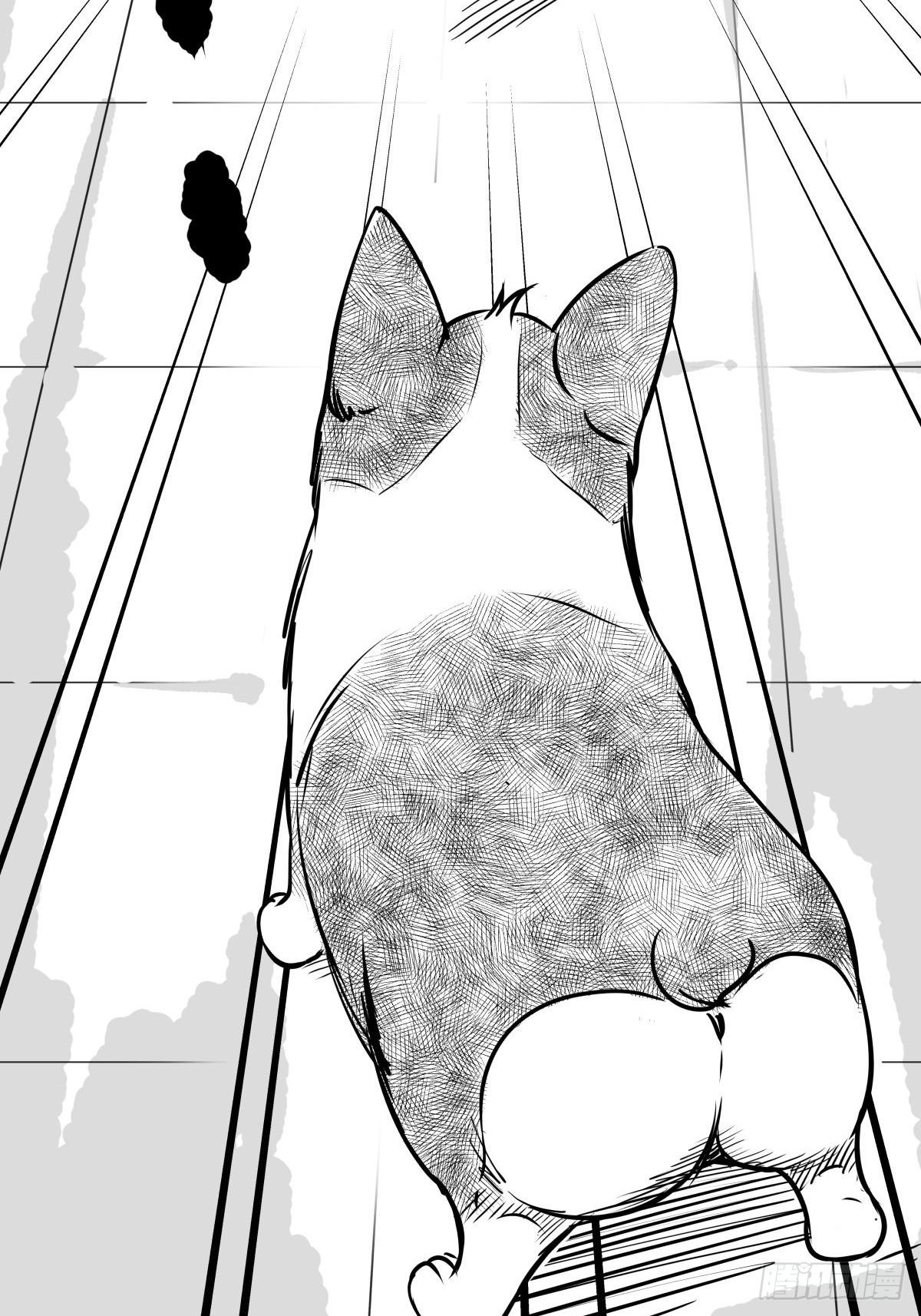 最后的耍猴人(1/3)-第51话