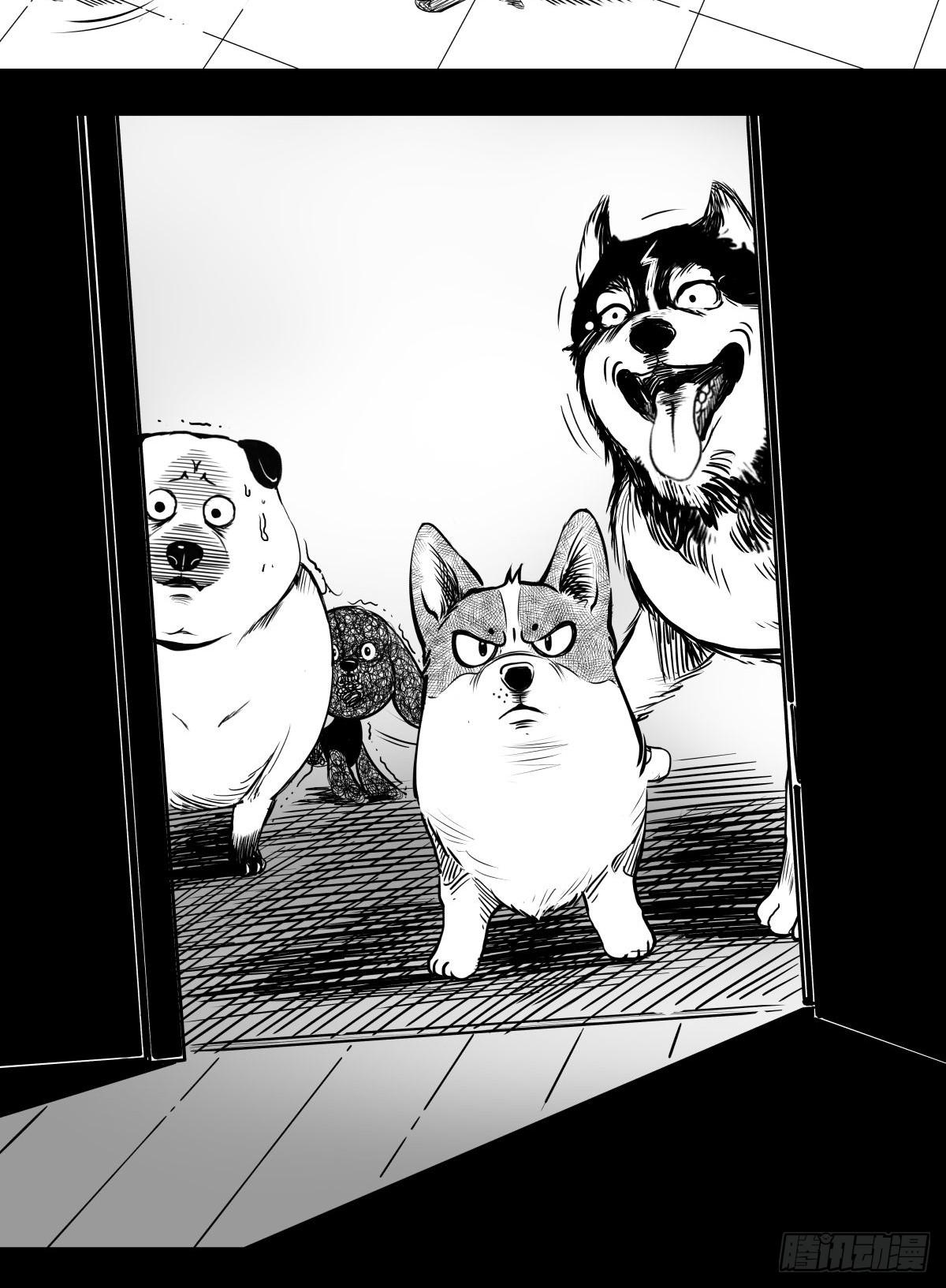 最后的耍猴人(1/3)-第51话