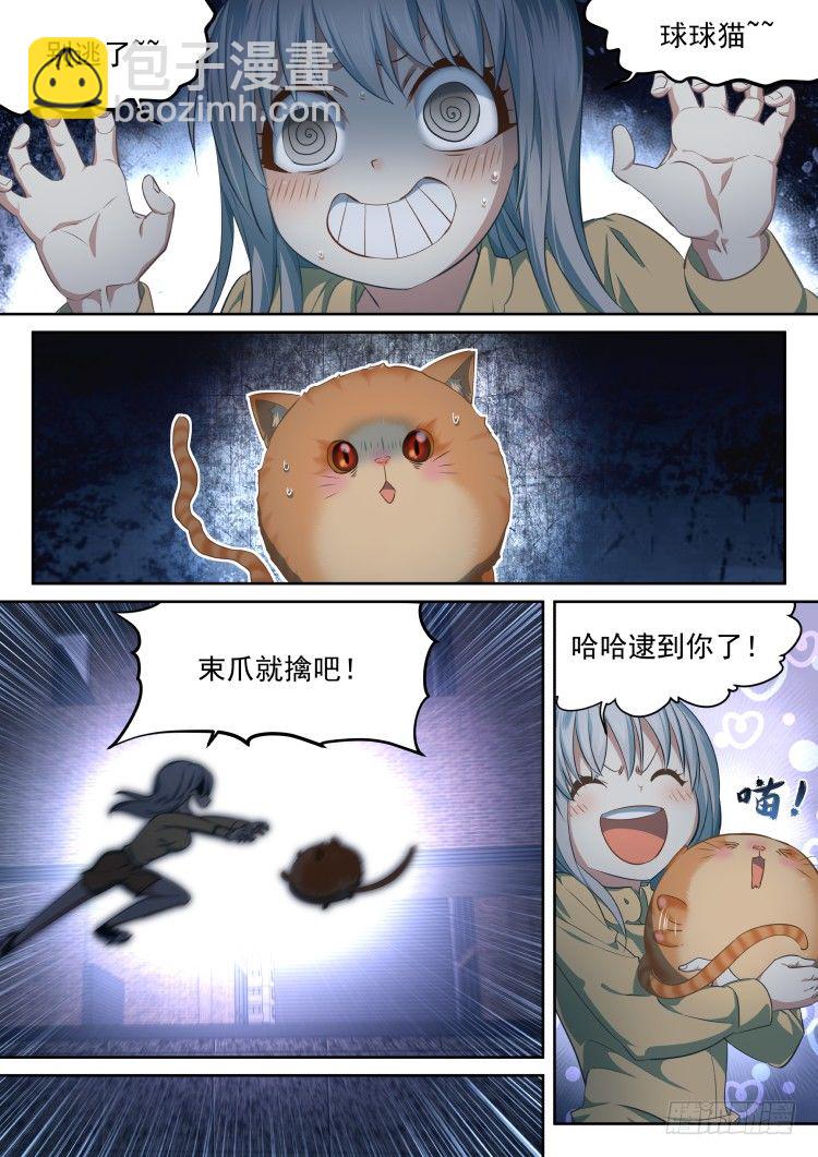有关猫的秘密计划-第13话