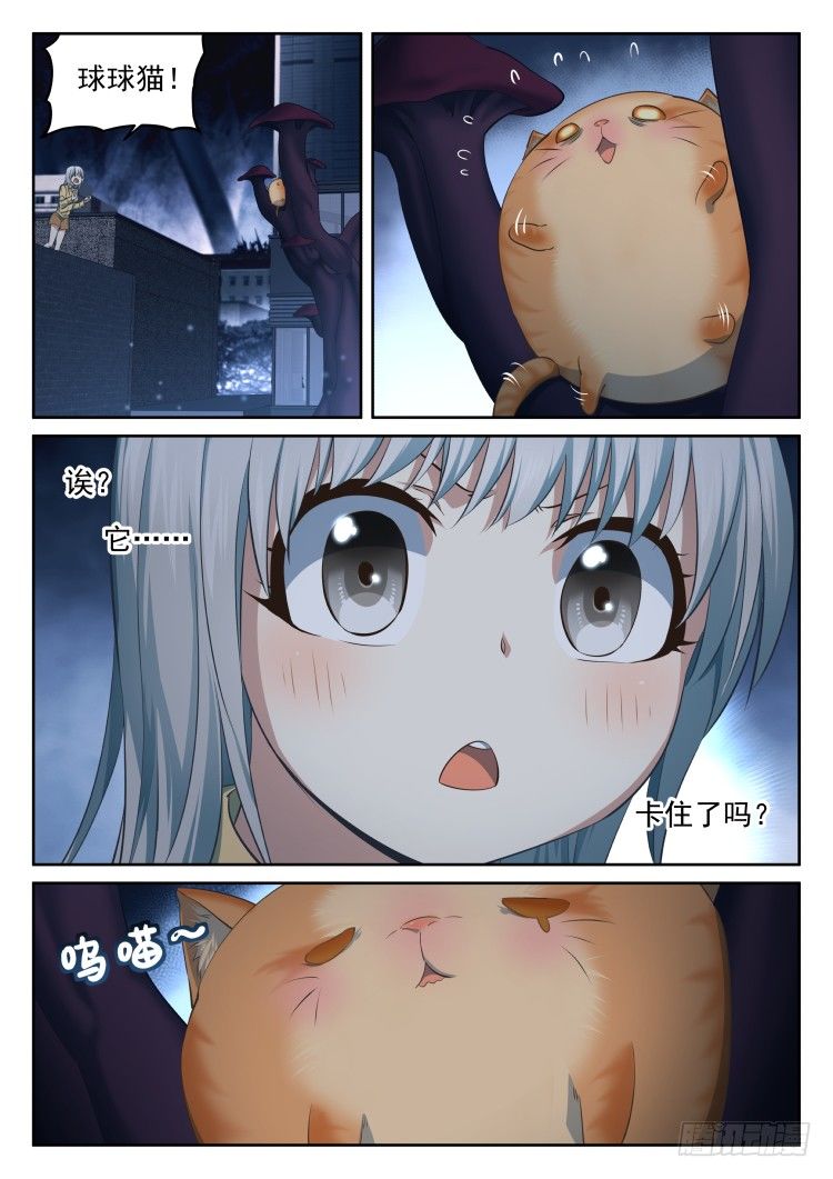 有关猫的秘密计划-第13话