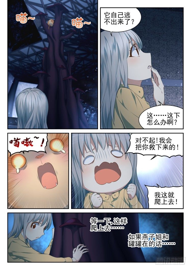 有关猫的秘密计划-第13话