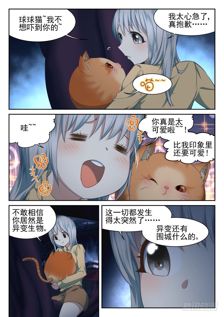 有关猫的秘密计划-第13话