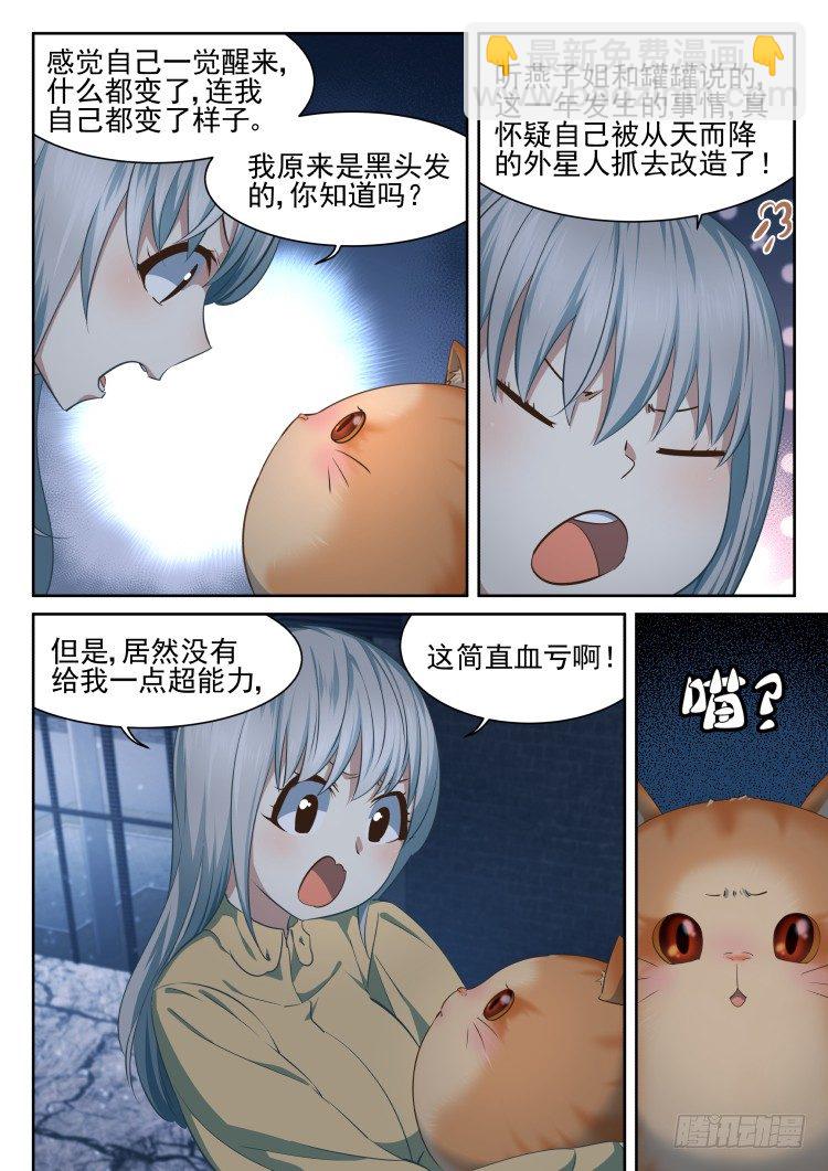 有关猫的秘密计划-第13话
