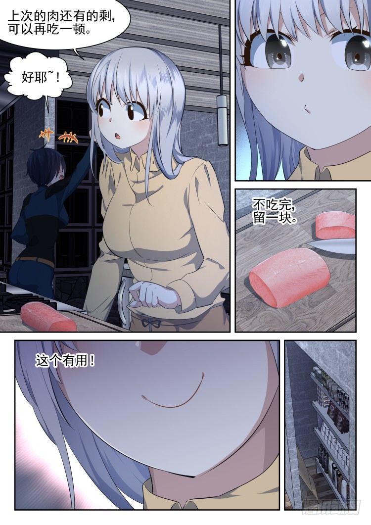 有关猫的秘密计划-第13话