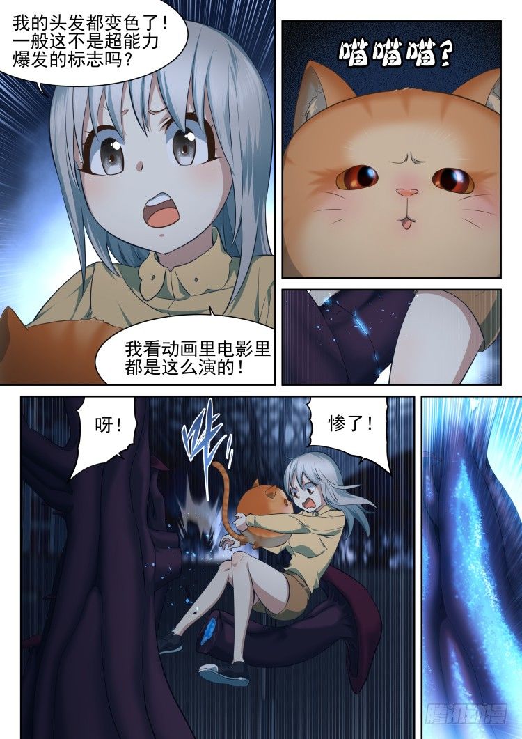 有关猫的秘密计划-第13话