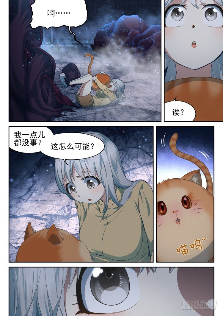 有关猫的秘密计划-第13话
