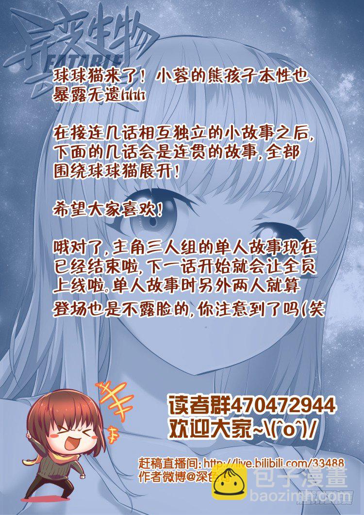 有关猫的秘密计划-第13话