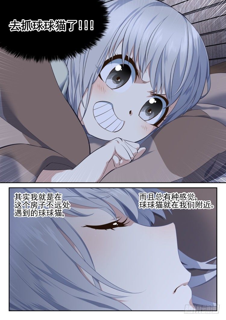 有关猫的秘密计划-第13话