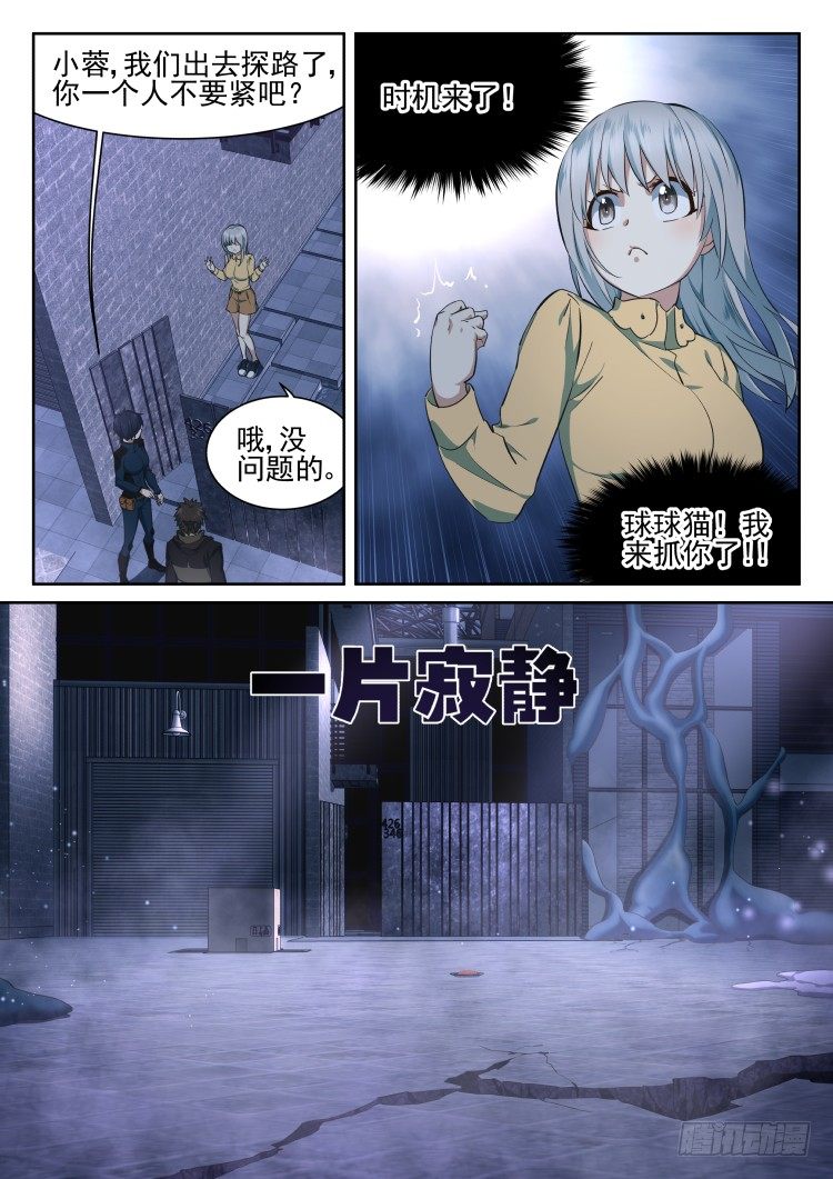 有关猫的秘密计划-第13话