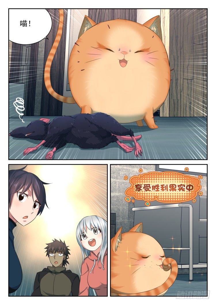庇护所鼠患-第31话