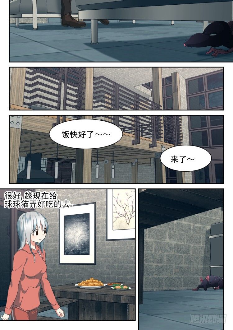 庇护所鼠患-第31话