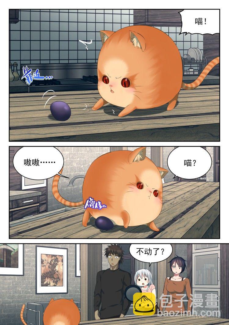 有个蛋-第39话