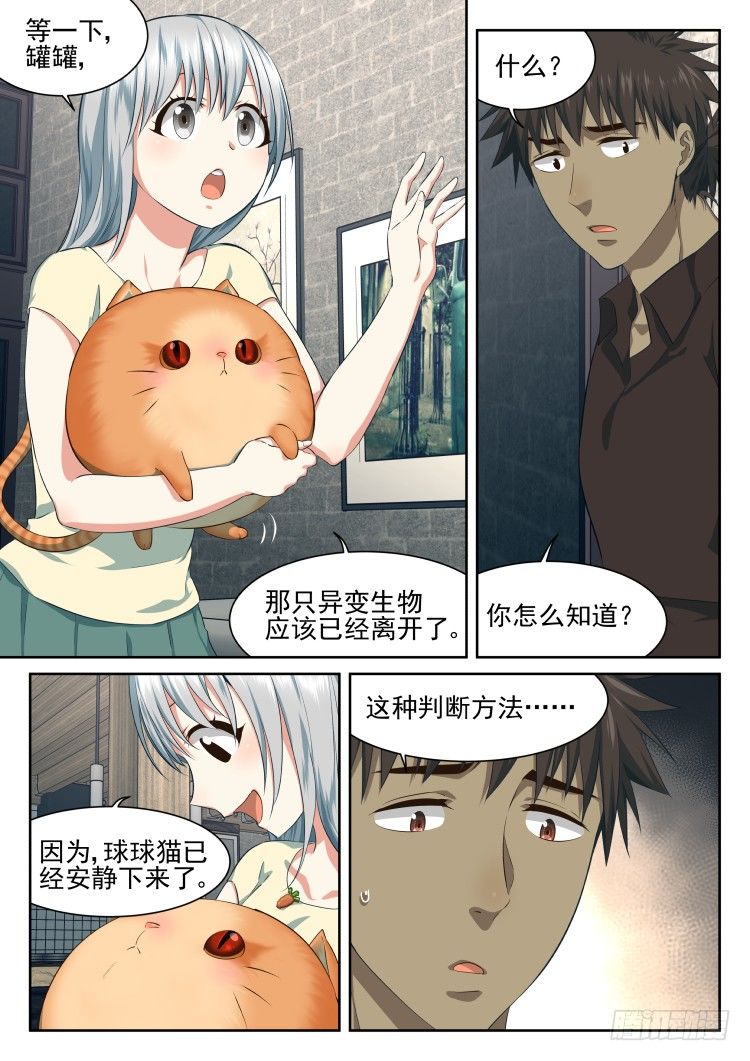 恶猫警告-第53话