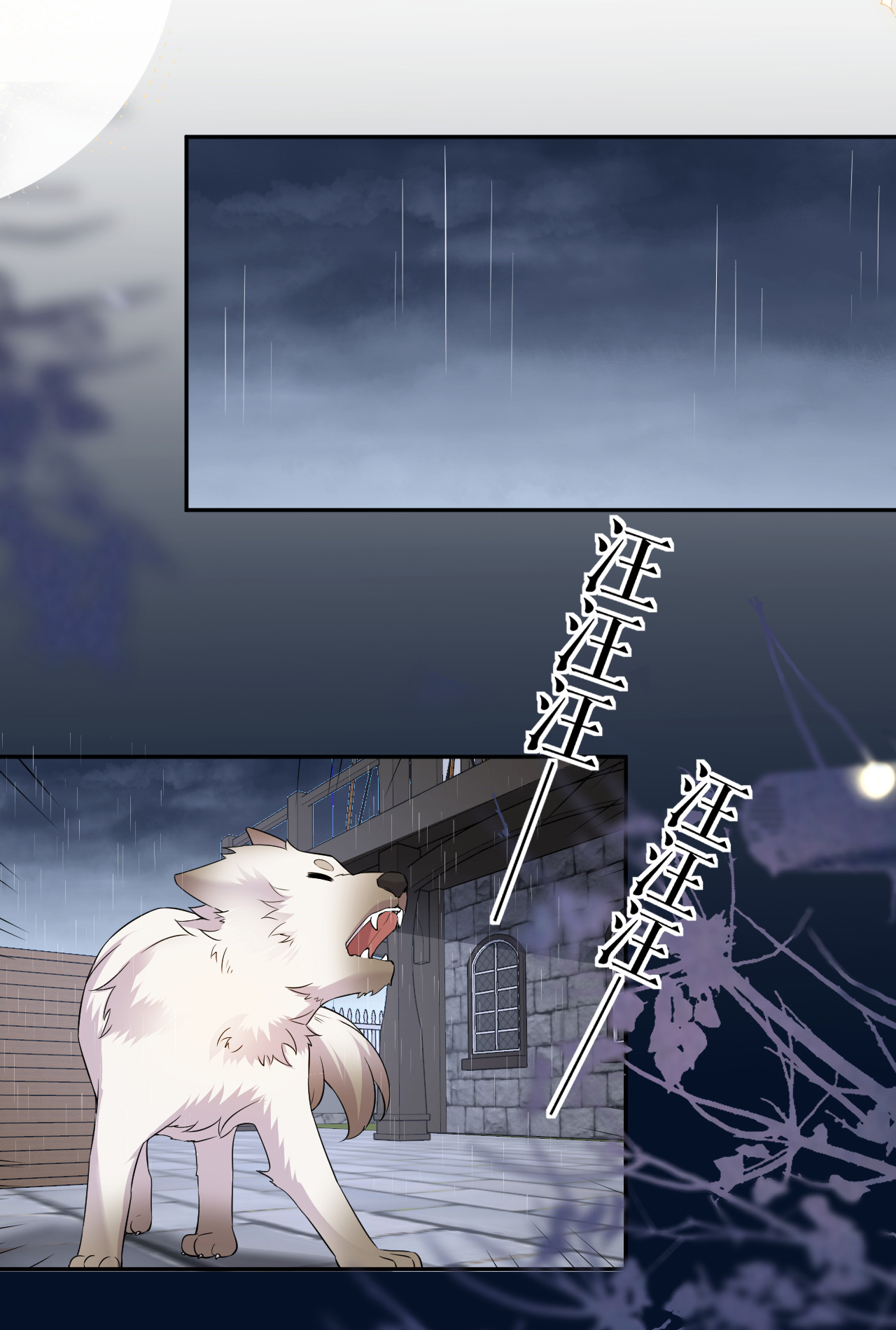 第76话 联姻是好事吗？-第77话