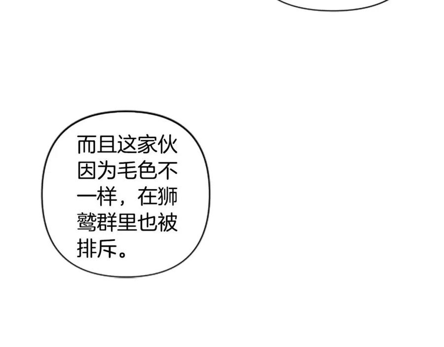 第39话 让圣女出门吧！(1/3)-第39话
