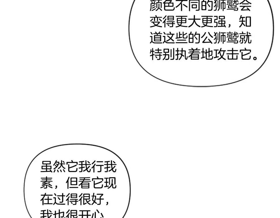 第39话 让圣女出门吧！(1/3)-第39话