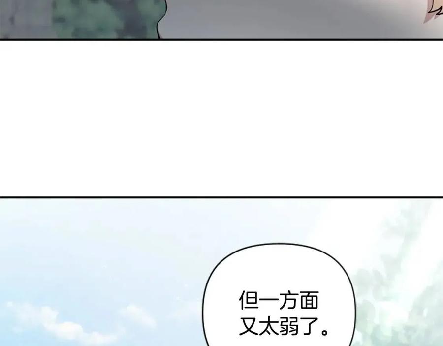 第45话 兔子该做的事(1/3)-第45话