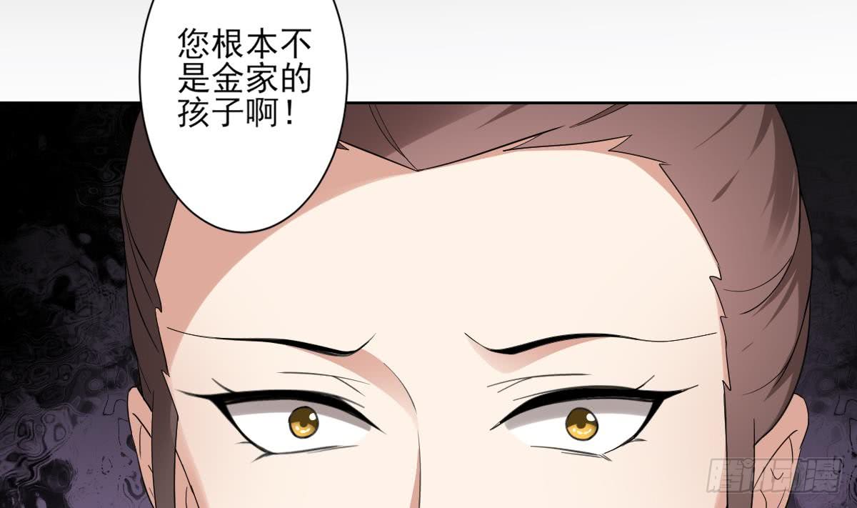 第156话 顾家的秘密(1/2)-第157话