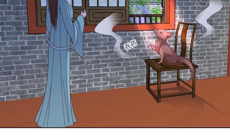 第219话 蜕变的小狐狸(1/2)-第53话