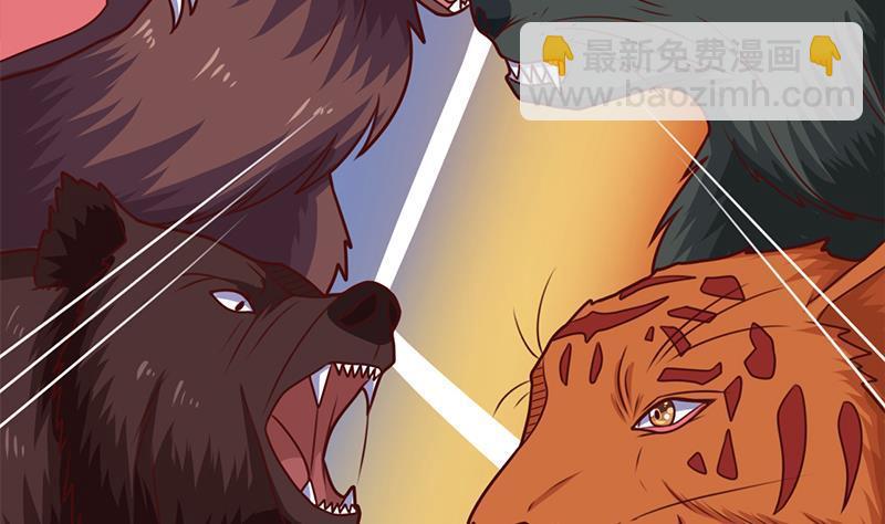 第320话 温柔的熊大(1/2)-第231话