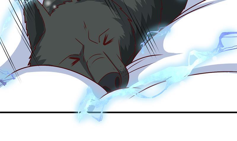 第320话 温柔的熊大(1/2)-第231话