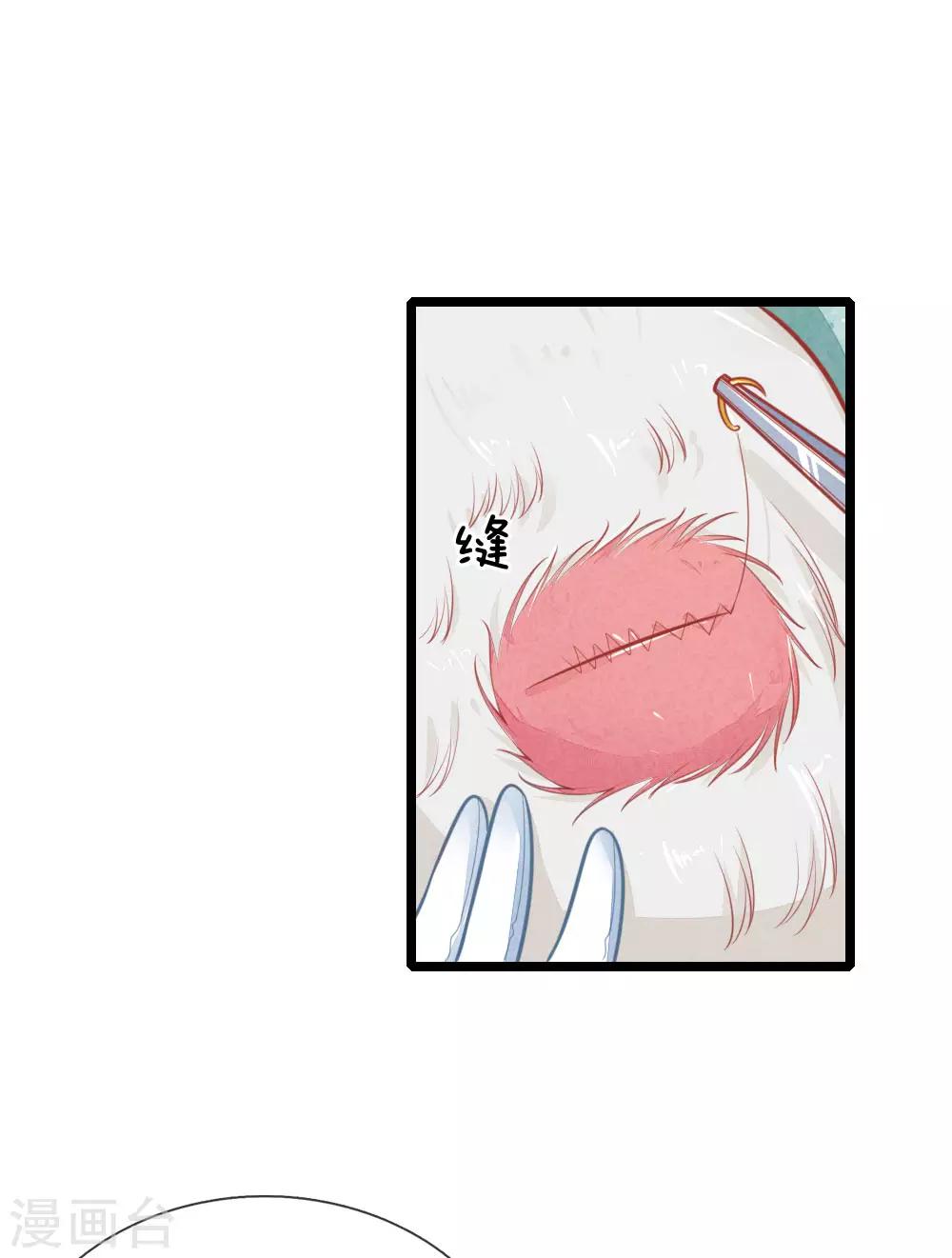 第105话 手术演示-第105话