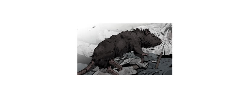 67.否则会死-第67话