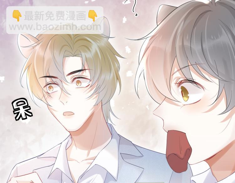 第4话 又被狮子救了？！(1/3)-第5话