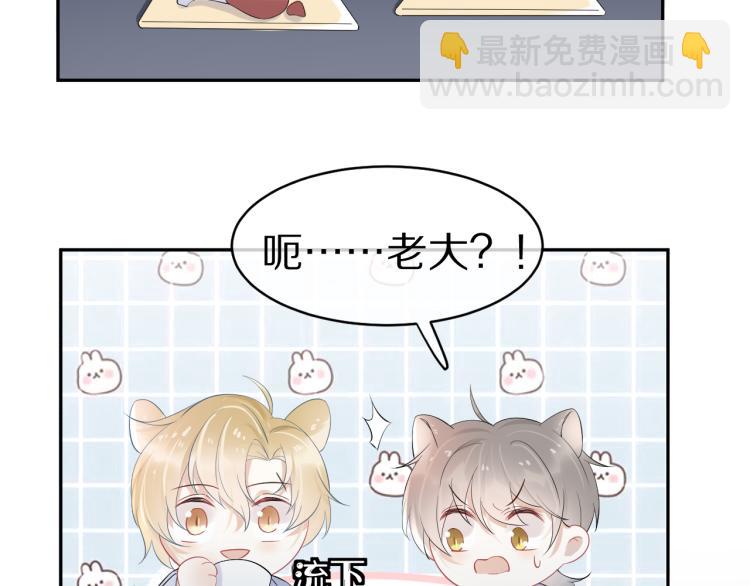 第4话 又被狮子救了？！(1/3)-第5话