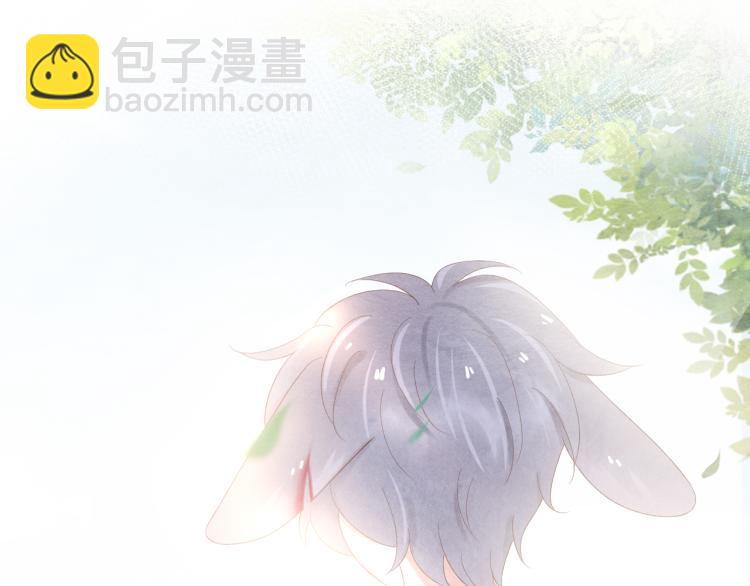 第4话 又被狮子救了？！(1/3)-第5话
